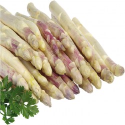 Asparagus