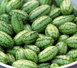 CUCAMELON