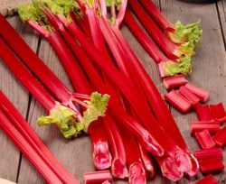 RHUBARB