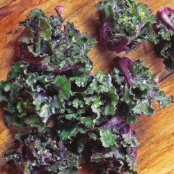 kalettes9